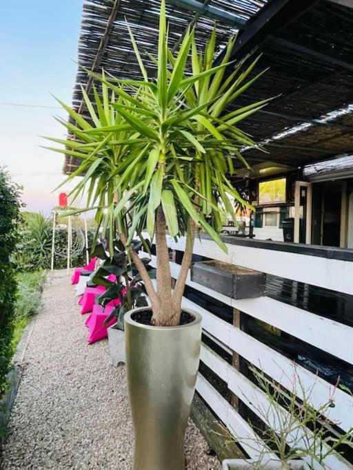 Monte Do Bide Private Farm Peace And Nature * Setubal