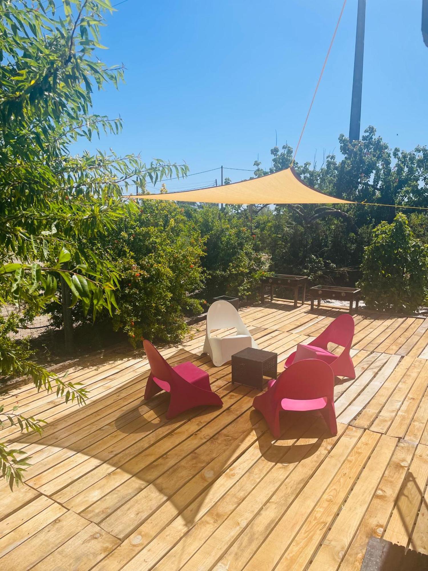 Monte Do Bide Private Farm Peace And Nature Setubal